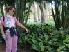 dsc04827_800x600