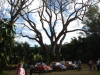 dsc04831_800x600