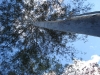 dsc04852_800x600