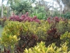 dsc04854_800x600