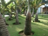 dsc04858_800x600