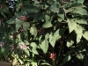 dsc04859_800x600