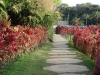 dsc04861_800x600