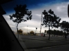 dsc05086_800x600
