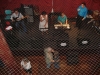 dsc05101_800x600