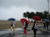 dsc05128_800x600